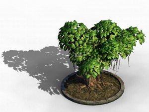 elven villa - broadleaf 01 Model 3D