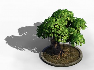 elven villa - broadleaf 01 Model 3D