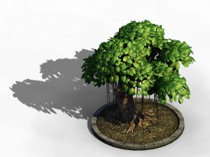 elven villa - broadleaf 01 3D Model