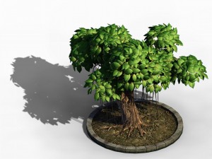 elven villa - broadleaf 01 Model 3D