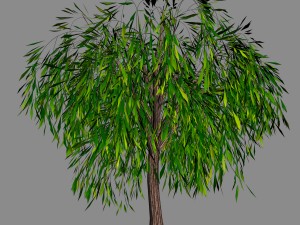 elven villa - broadleaf 02 3D 모델