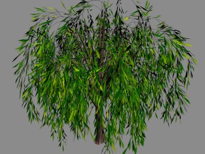 elven villa - broadleaf 02 3D Модель