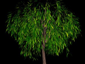 elven villa - broadleaf 02 3D Модель