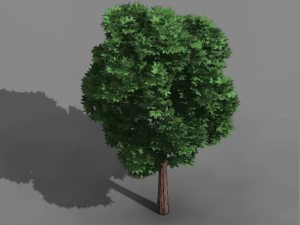 elven villa - broadleaf 03 3D Model