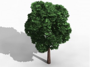 elven villa - broadleaf 03 3D Model