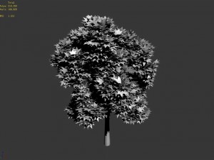 elven villa - broadleaf 03 3D Model