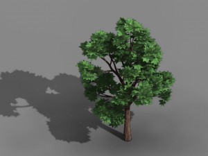 elven villa - broadleaf 04 Modèle 3D