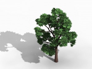 elven villa - broadleaf 04 3D 모델