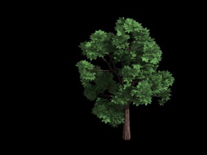 elven villa - broadleaf 04 3D 모델