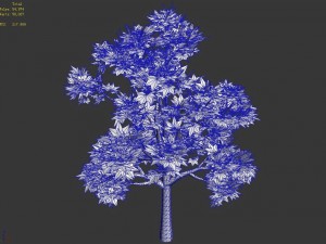 elven villa - broadleaf 04 3D 모델