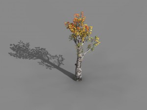 empty mulberry - birch 01 Modelo 3D