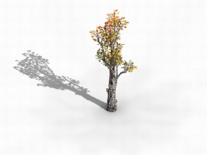 empty mulberry - birch 01 3D Model