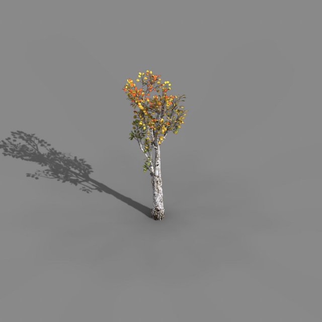empty mulberry - birch 02 3D Модель .c4d .max .obj .3ds .fbx .stl .blend 