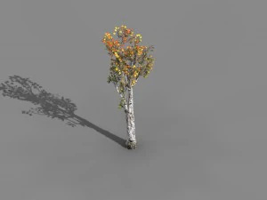 boş dut - huş ağacı 02 3D Model