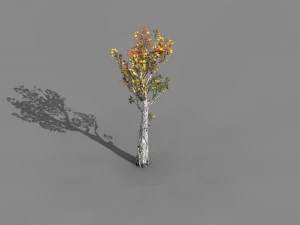 empty mulberry - birch 02 3D Model