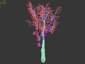 empty mulberry - birch 02 3D Model