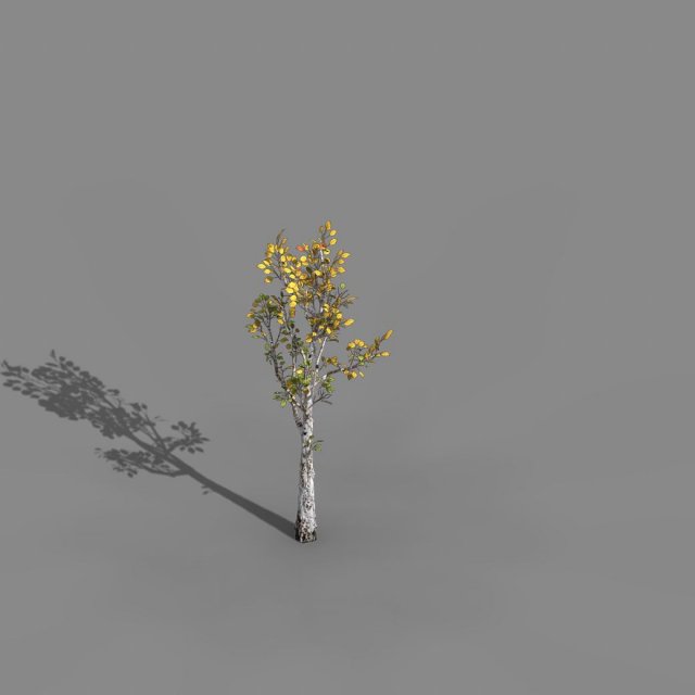 empty mulberry - birch 03 3D 模型 .c4d .max .obj .3ds .fbx .stl .blend 