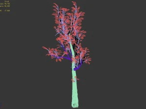 empty mulberry - birch 03 3D Model
