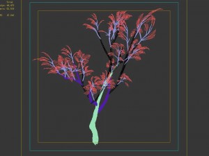 empty mulberry - birch 04 3D Model