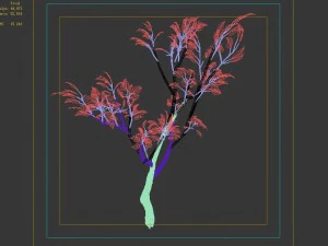 empty mulberry - birch 04 3D Model