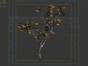 empty mulberry - birch 04 3D Model