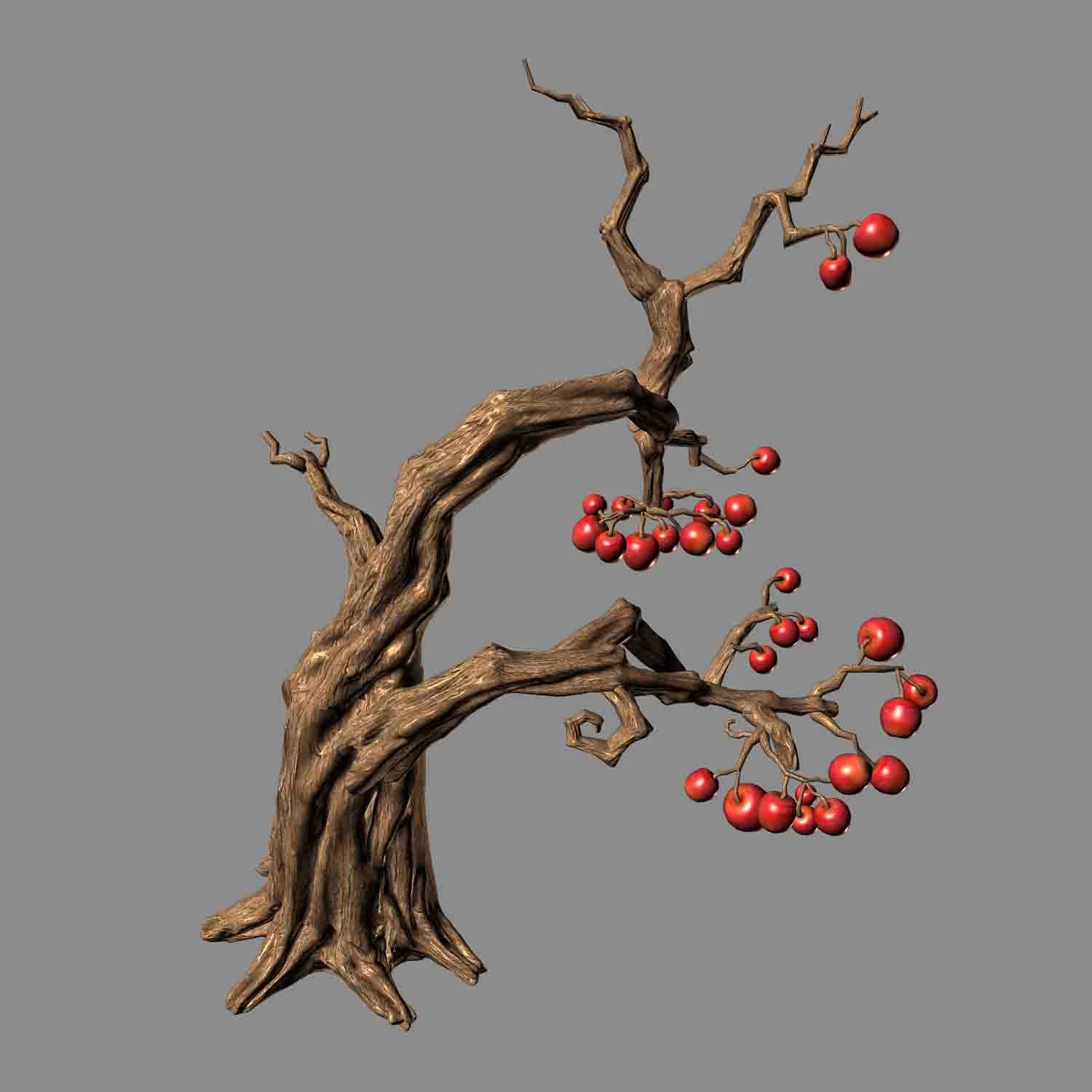 empty mulberry - tree 01 3D Model .c4d .max .obj .3ds .fbx .stl .blend 