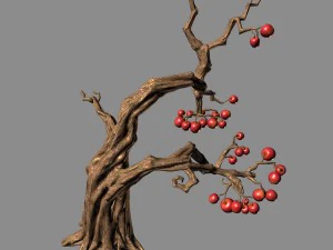 empty mulberry - tree 01 3D Model
