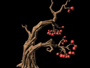 empty mulberry - tree 01 3D Model
