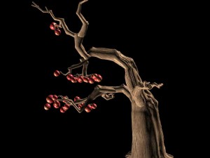 empty mulberry - tree 01 Modelo 3D