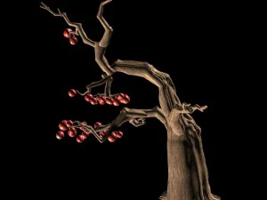 empty mulberry - tree 01 3D Model