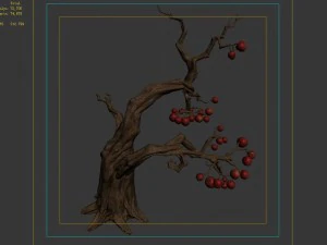 empty mulberry - tree 01 3D Model