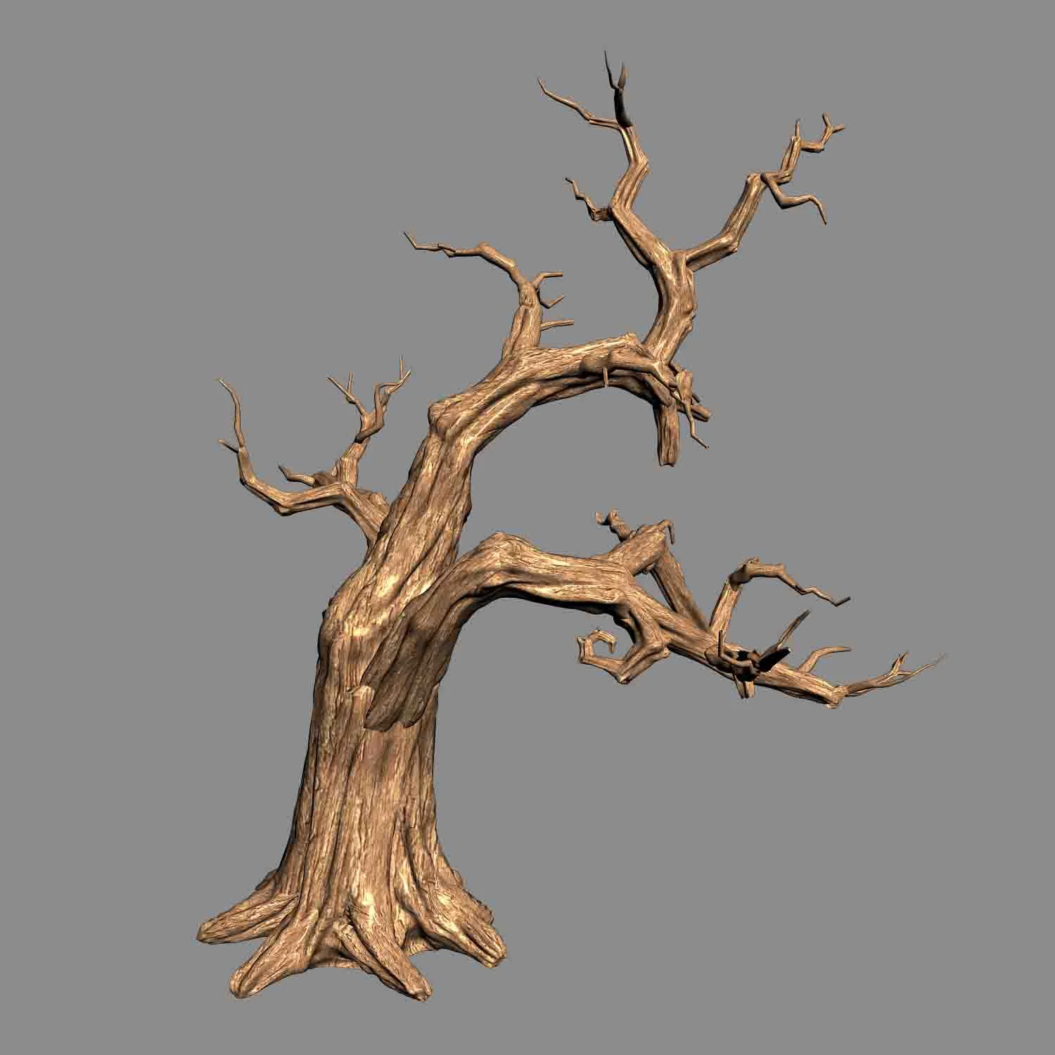 empty mulberry - dry tree 01 3D Model .c4d .max .obj .3ds .fbx .stl .blend 