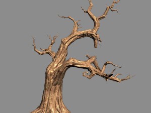 empty mulberry - dry tree 01 3D 모델