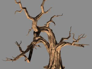 empty mulberry - dry tree 01 3D Model
