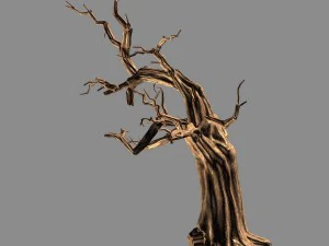 empty mulberry - dry tree 01 3D Model