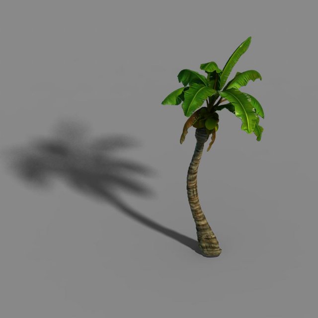empty mulberry - coconut tree crook 01 Modèle 3D .c4d .max .obj .3ds .fbx .stl .blend 