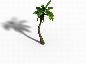 empty mulberry - coconut tree crook 01 Modèle 3D