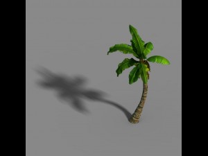 empty mulberry - coconut tree crook 01 Modèle 3D