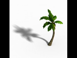 empty mulberry - coconut tree crook 01 Modèle 3D
