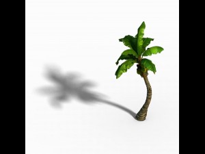 empty mulberry - coconut tree crook 01 Modèle 3D