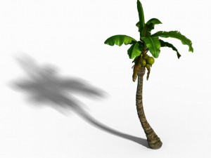 empty mulberry - coconut tree crook 01 Modèle 3D