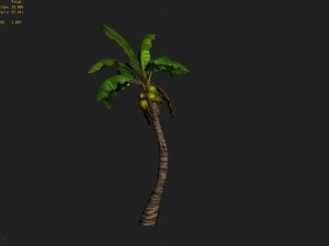 empty mulberry - coconut tree crook 01 Modèle 3D