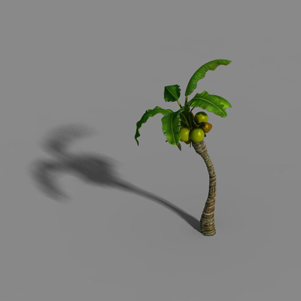 empty mulberry - coconut tree bend 02 3D Model .c4d .max .obj .3ds .fbx .stl .blend 