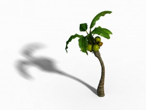 empty mulberry - coconut tree bend 02 3D 模型