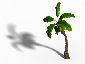 empty mulberry - coconut tree bend 02 3D 模型