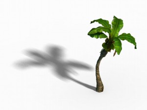 empty mulberry - coconut tree bend 02 3D 模型