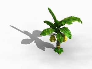 empty mulberry - banana tree 01 Modelo 3D