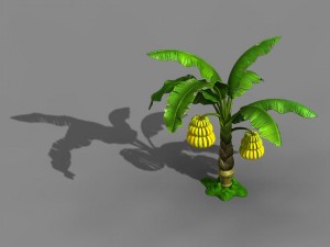 empty mulberry - banana tree 01 Modelo 3D