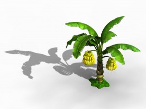 empty mulberry - banana tree 01 Modelo 3D
