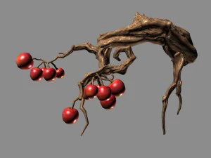 空の桑 - 小さな木 01 3Dモデル